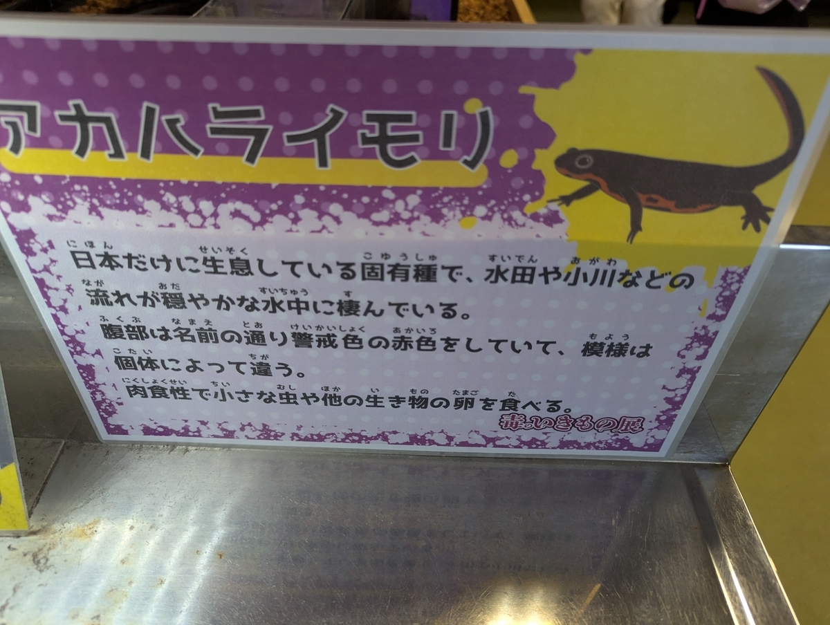 有毒の両生類展示なども