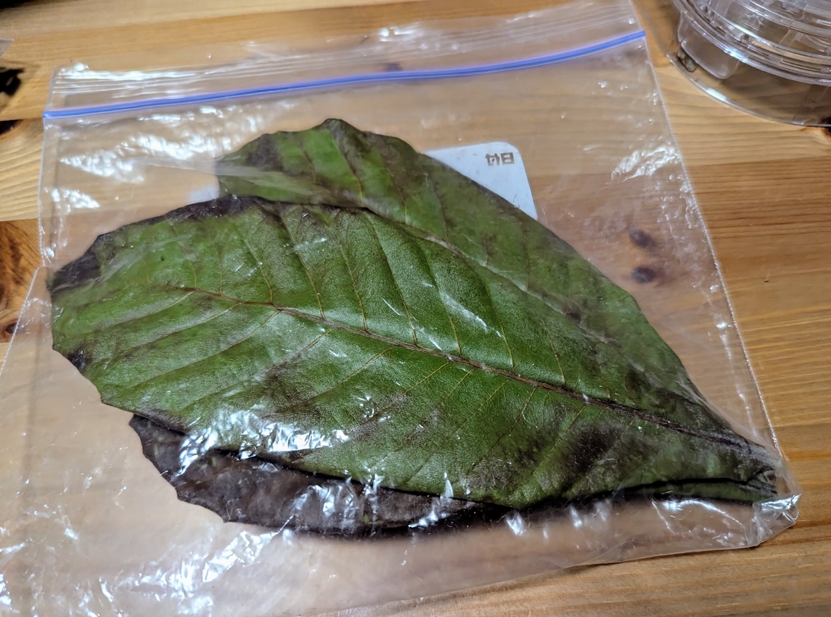 びわの葉は布で包んでお風呂に入れれば入浴剤にも