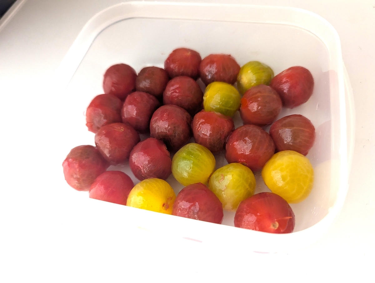 湯剥き完了したカラフルなミニトマトたち