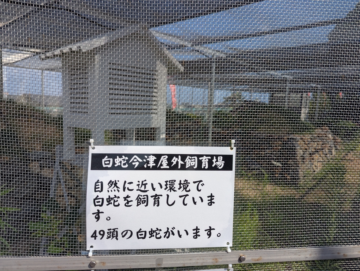 白蛇神社に隣接する「白蛇今津屋外飼育場」。自然に近い環境で、なんと49頭の白蛇が大切に飼育されている。