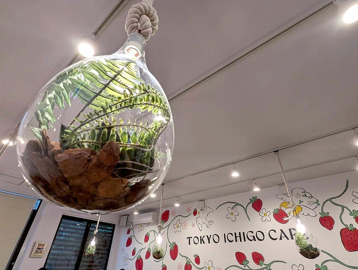 東京いちごカフェの店内インテリア。天井から吊るされたガラスのテラリウムと、壁いっぱいに描かれたいちごのイラストが印象的で、明るくかわいらしい雰囲気の空間。