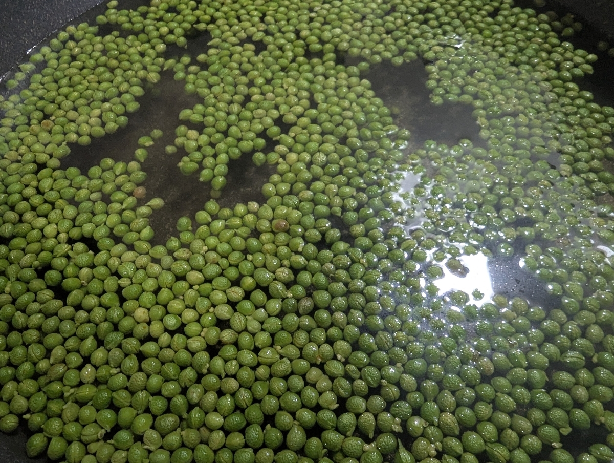 実山椒を塩を加えた湯で下茹でしている工程。塩漬け前の下処理