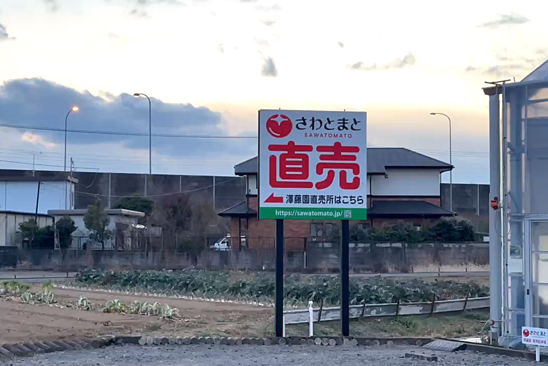 澤藤園さわとまと直売所の案内看板。「さわとまと SAWATOMATO」ロゴと大きな赤文字で「直売」と書かれ、夕暮れの空を背景に立っている
