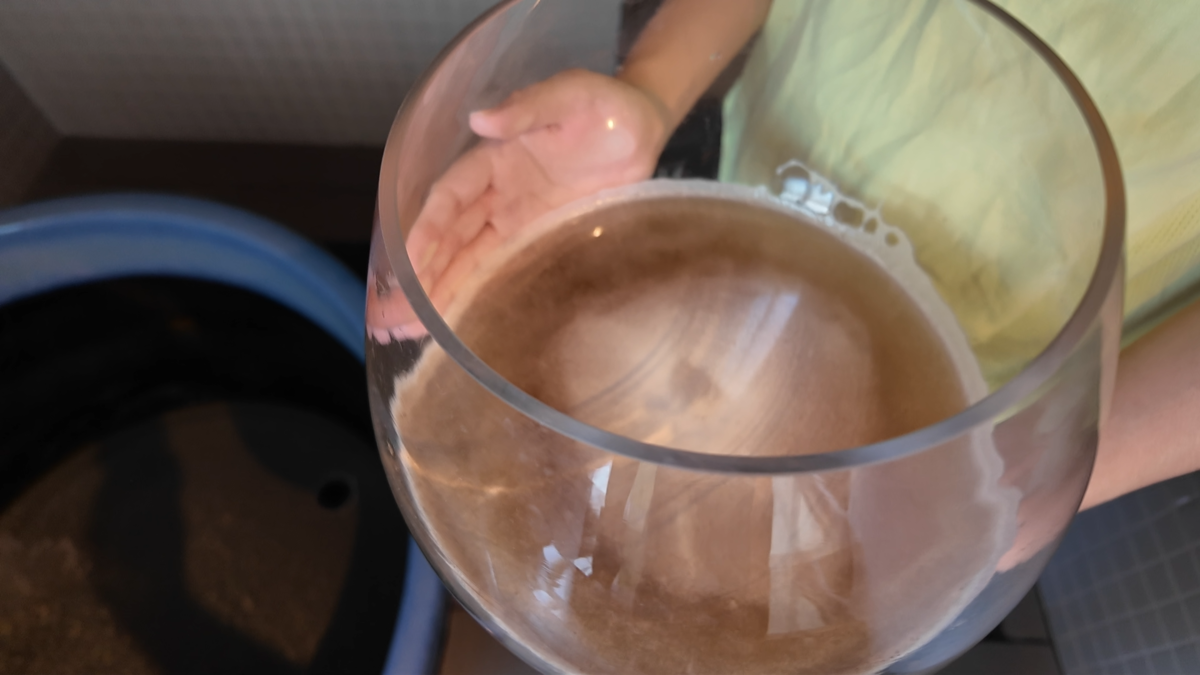 ガラス容器にたっぷり入った琥珀色のビール