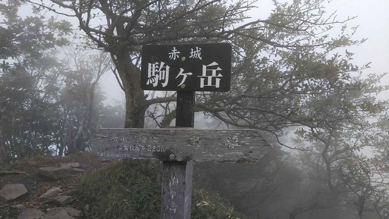 f:id:licoowl:20200910002009j:image f:id:licoowl:20200910002009j:image