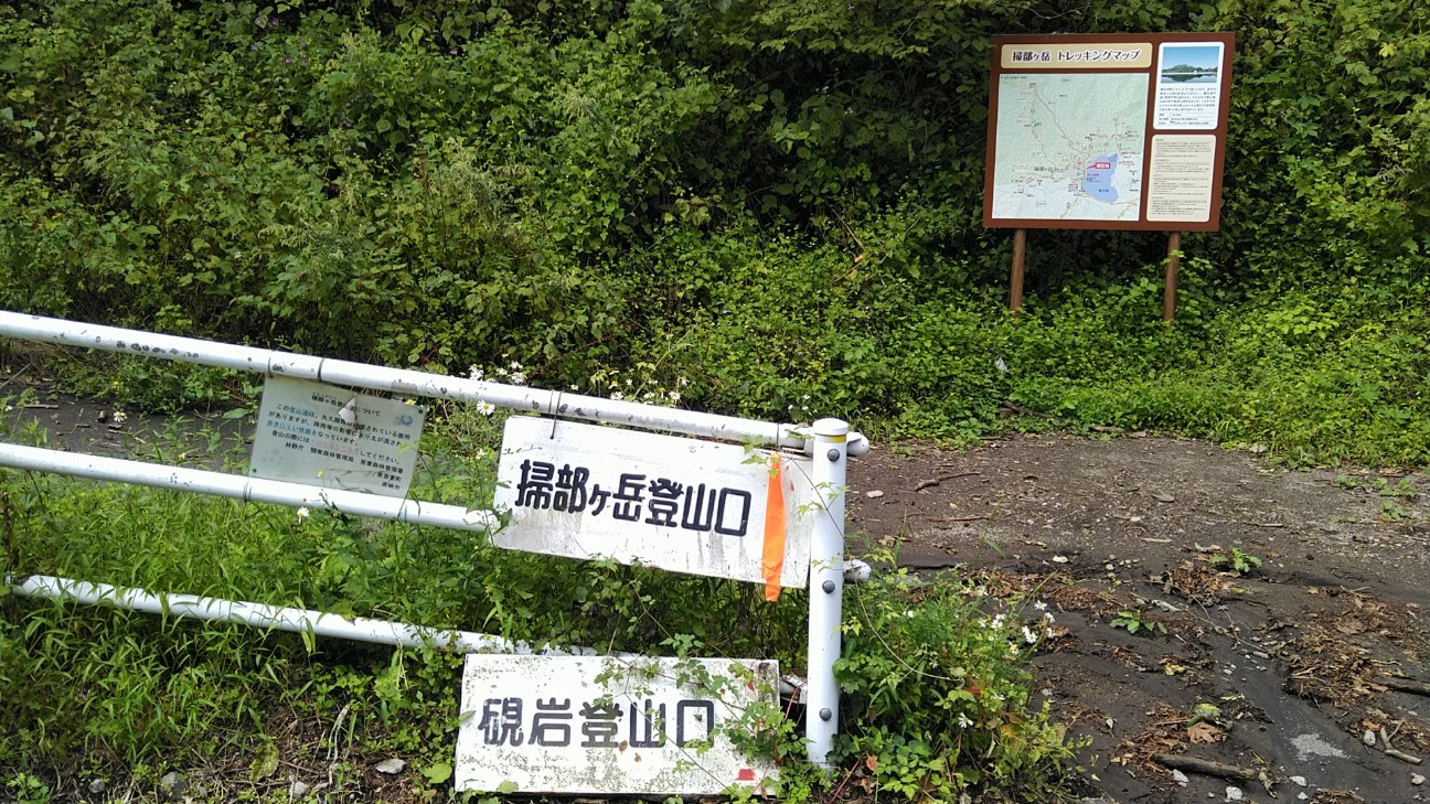 f:id:licoowl:20200912232328j:image