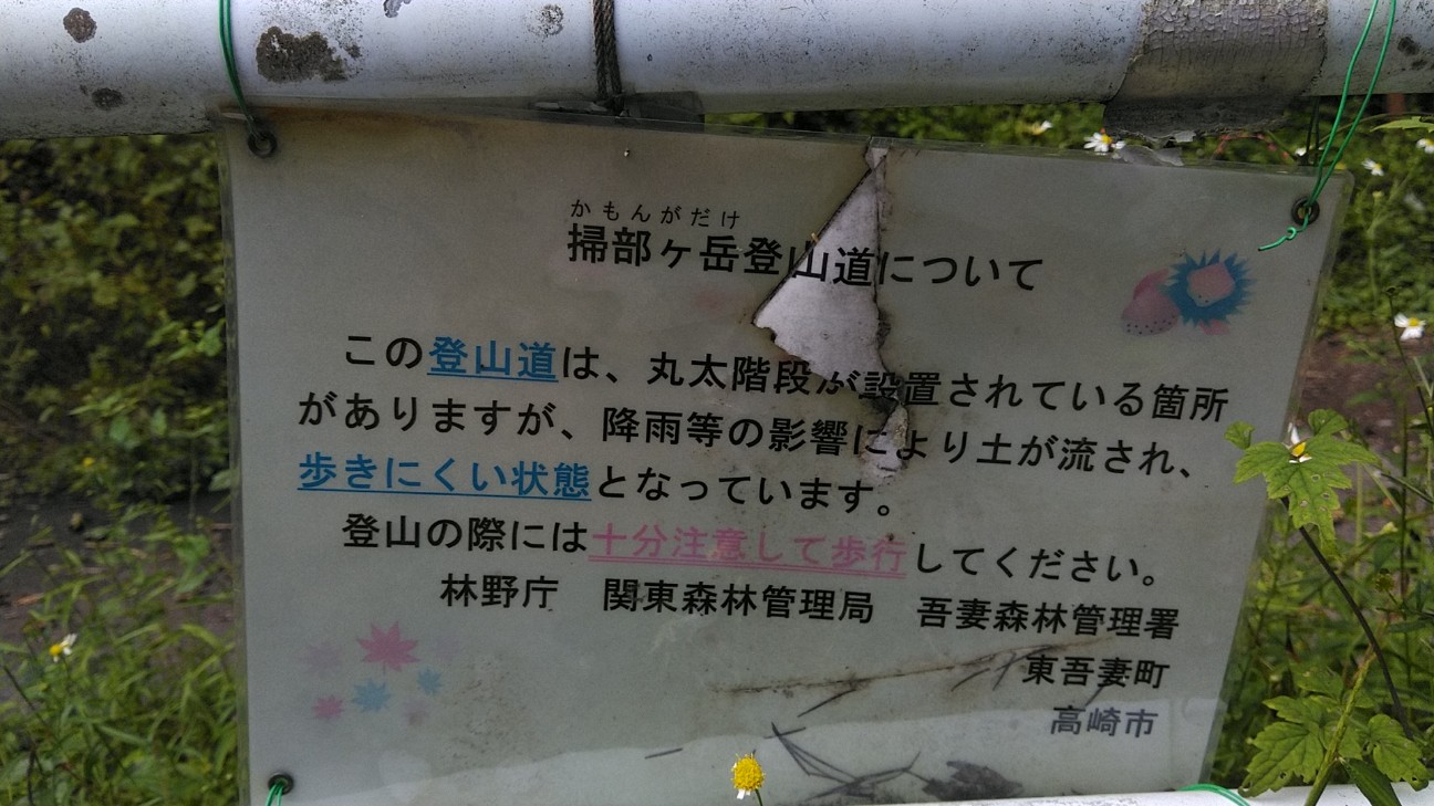 f:id:licoowl:20200912232420j:image