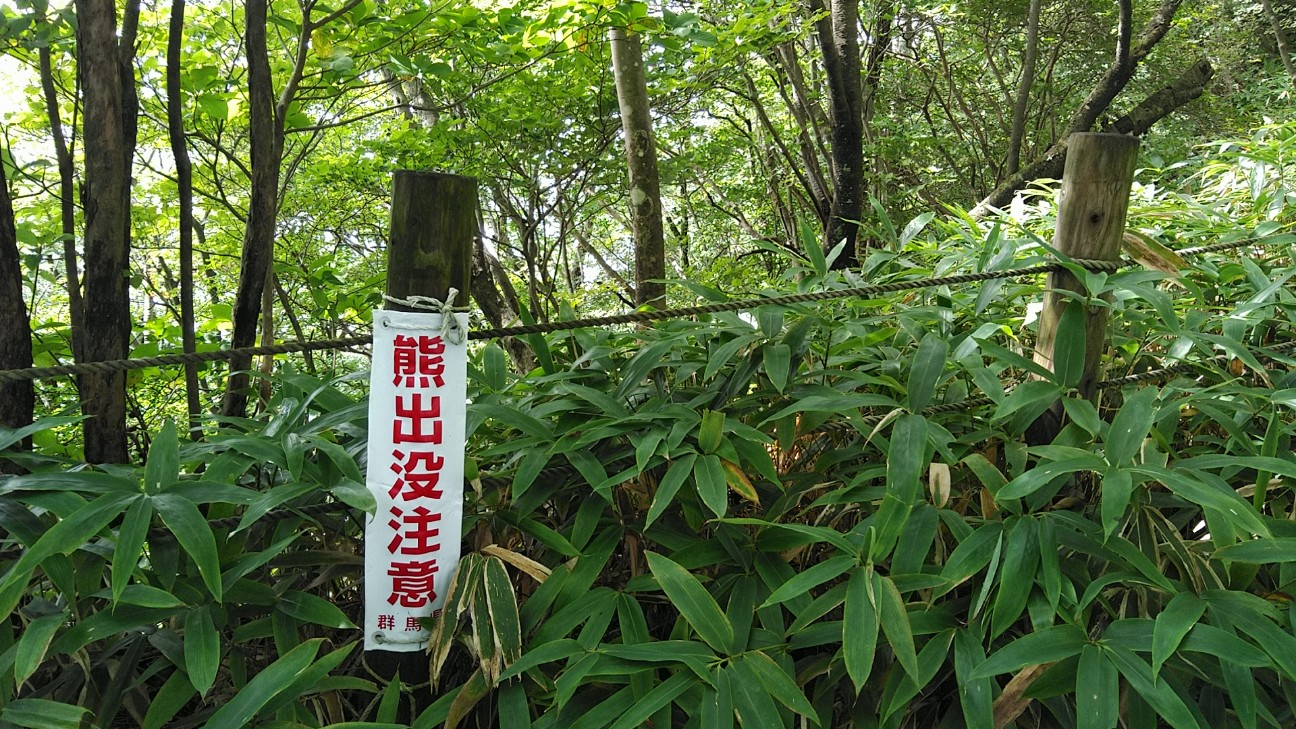 f:id:licoowl:20200914140752j:image
