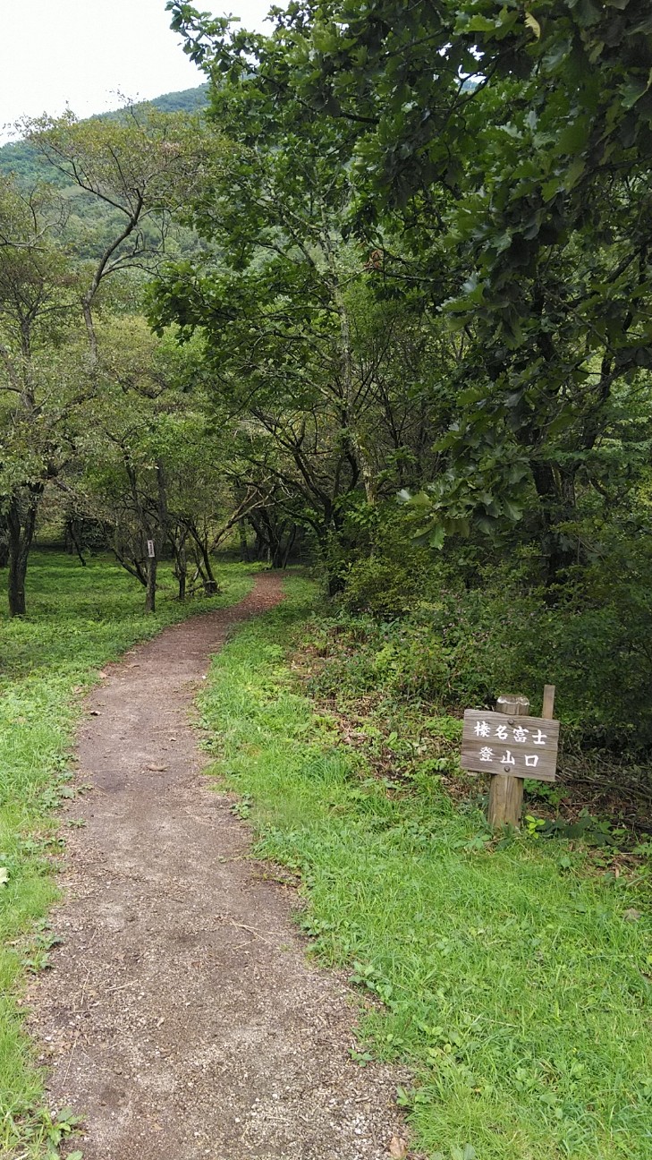 f:id:licoowl:20200914143315j:image