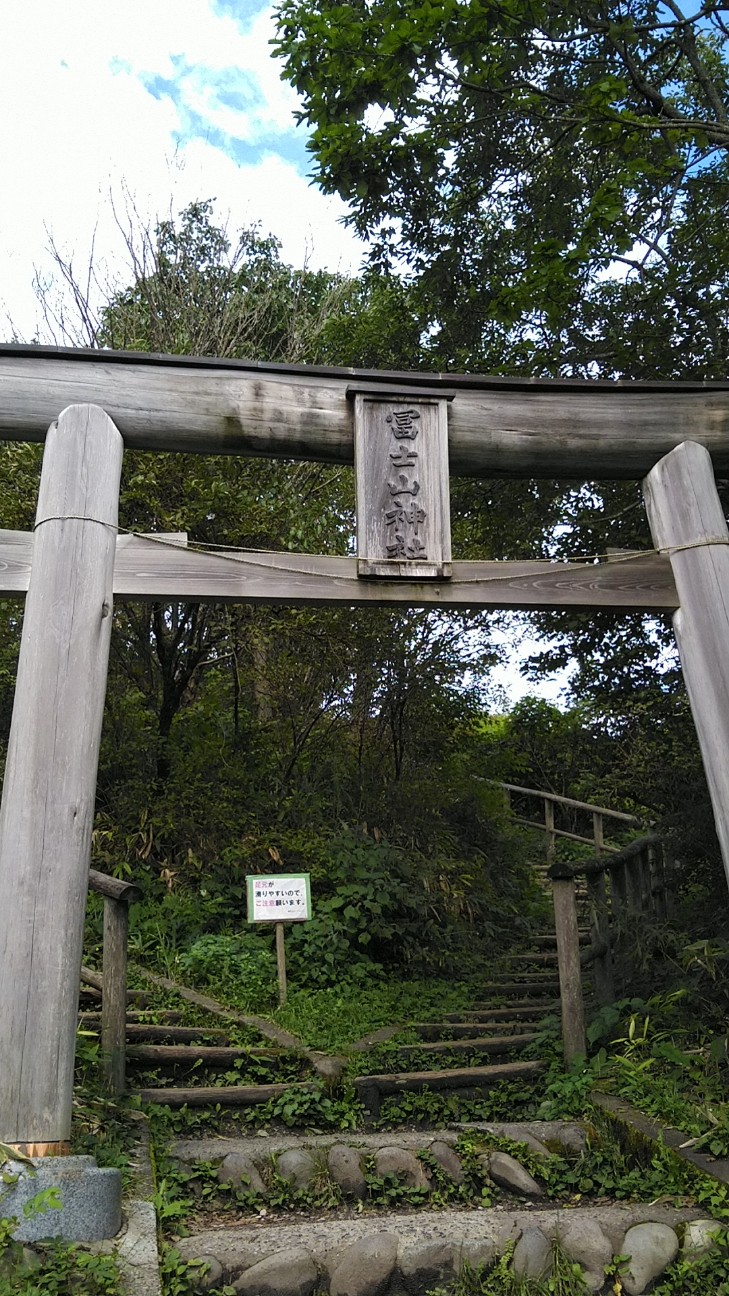 f:id:licoowl:20200914145813j:image