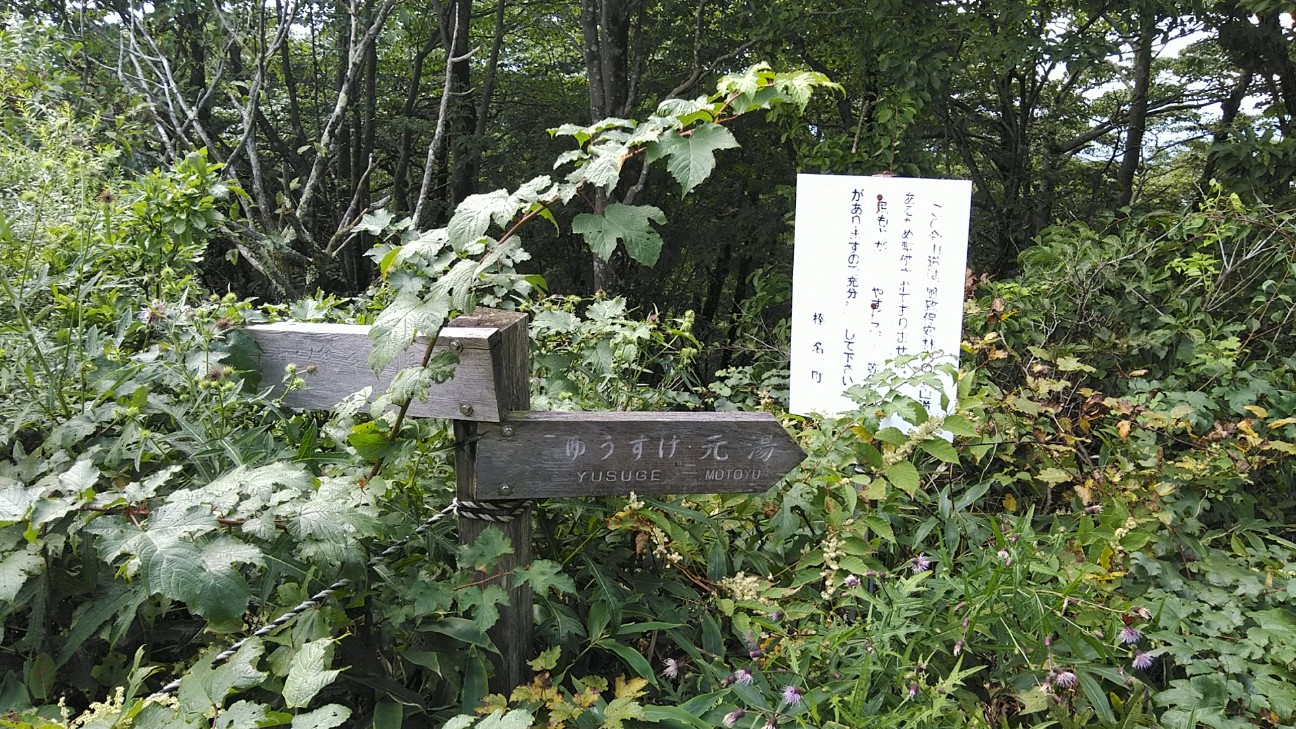 f:id:licoowl:20200914150107j:image