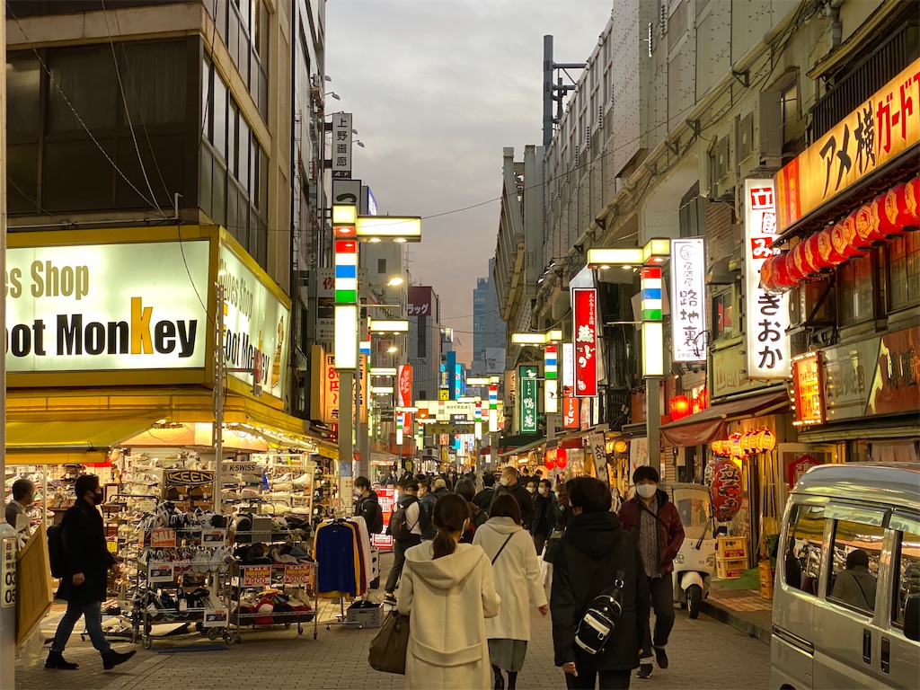 f:id:liefez:20201213235455j:image