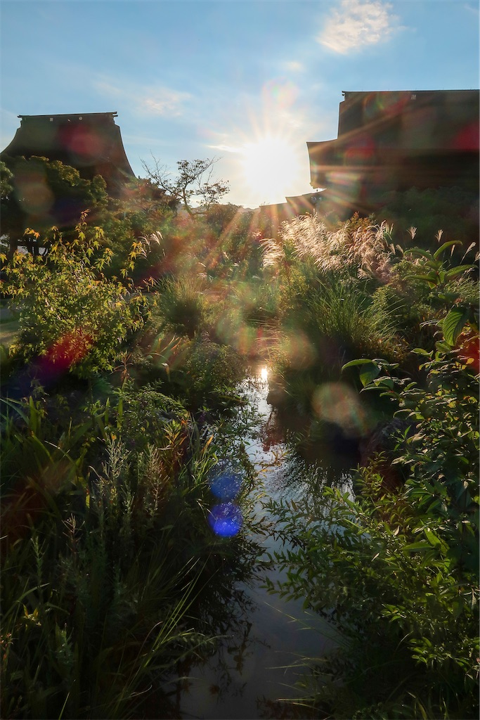 f:id:liefez:20230704004739j:image