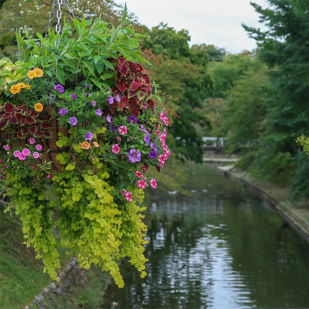 f:id:liefez:20230804053446j:image