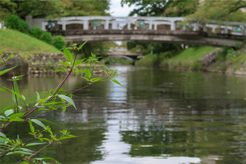 f:id:liefez:20230804053450j:image