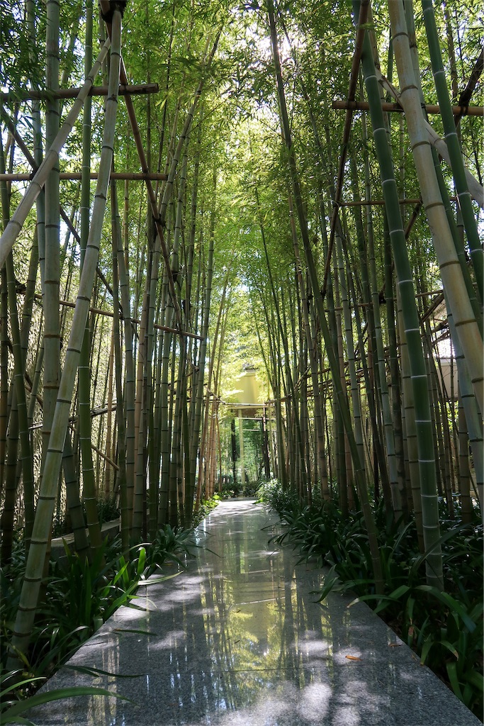 f:id:liefez:20230804183158j:image