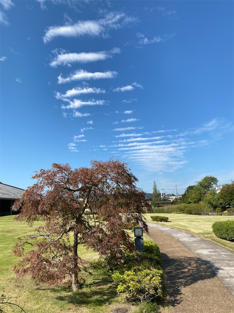 f:id:liefez:20230804183605j:image