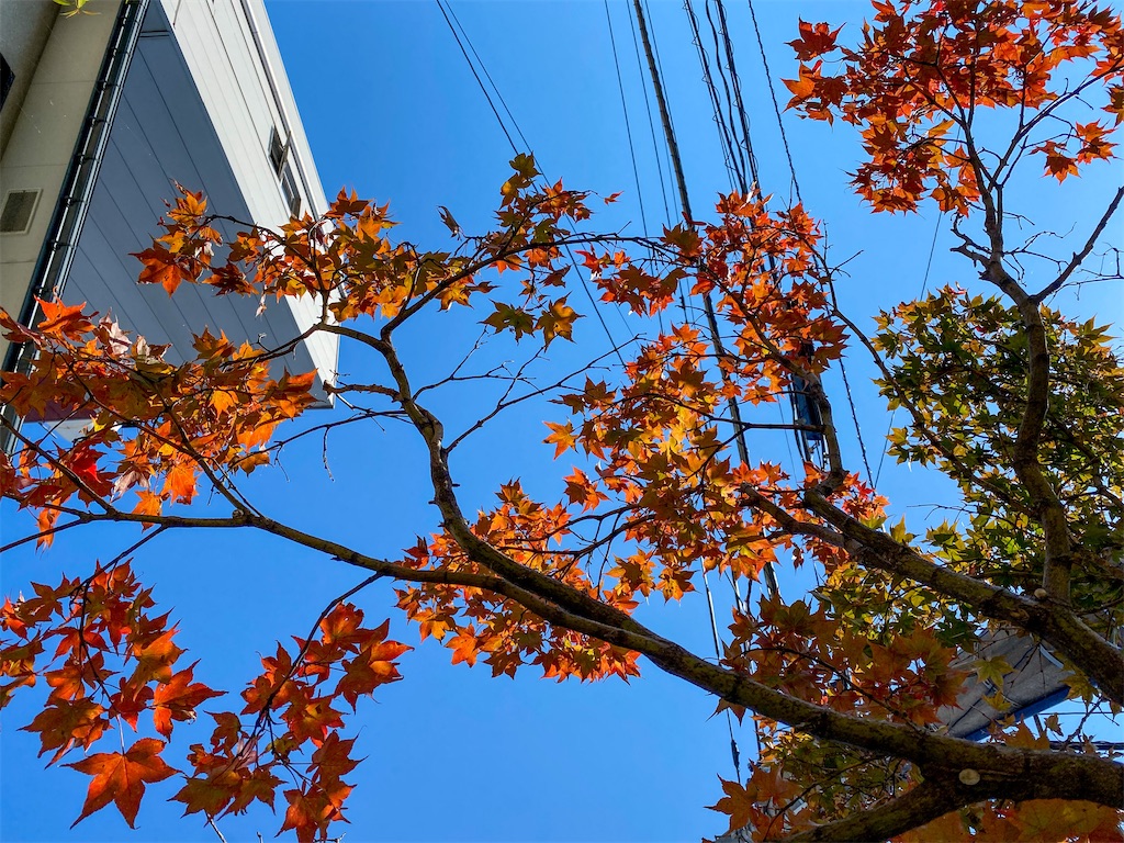 f:id:liefez:20230804183618j:image