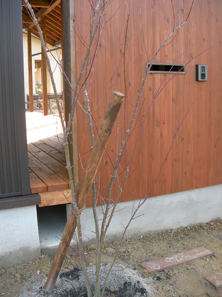 f:id:lien-house:20121223190536j:image