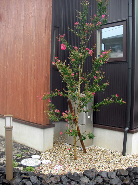 f:id:lien-house:20131009204448j:image