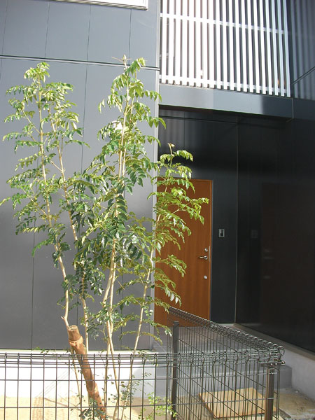 f:id:lien-house:20131012230853j:image