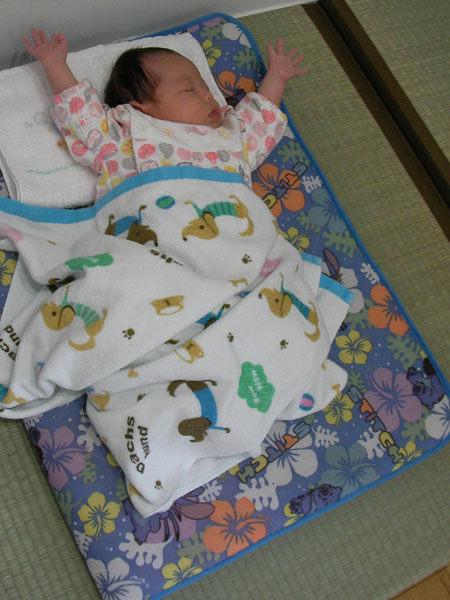 f:id:lien-house:20131019193849j:image