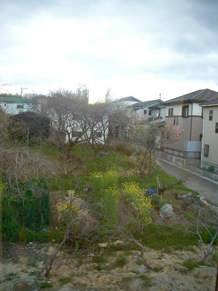 f:id:lien-house:20140404165845j:image f:id:lien-house:20140404165845j:image