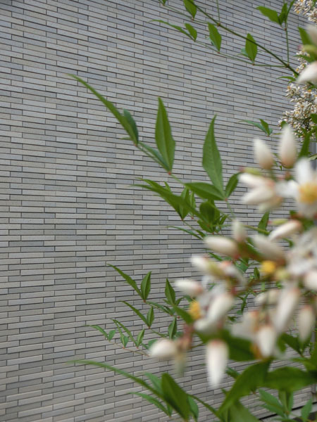 f:id:lien-house:20140715202423j:image f:id:lien-house:20140715202423j:image