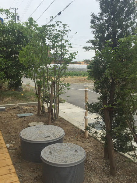f:id:lien-house:20150523223410j:image
