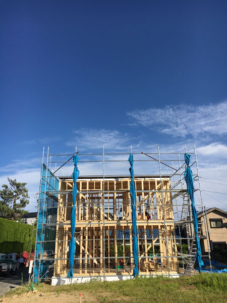 f:id:lien-house:20160601200724j:image
