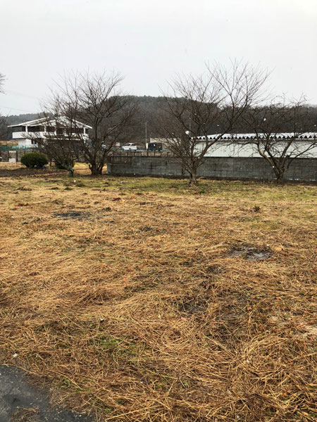 f:id:lien-house:20180110164643j:image