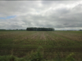 f:id:lif-g:20110913100507j:image:medium