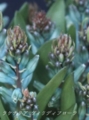 f:id:lif-g:20120921164445j:image:medium