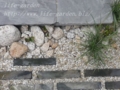 f:id:lif-g:20121017125320j:image:medium