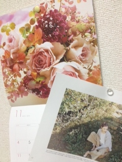 f:id:lif-g:20121104214713j:image:w360