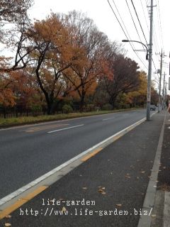 f:id:lif-g:20121201134132j:image:w360