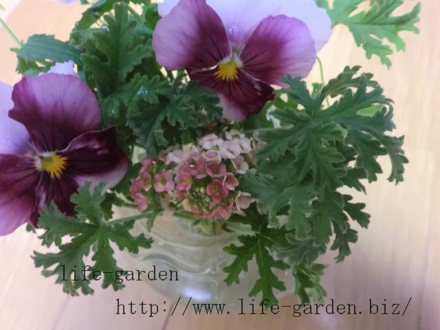 f:id:lif-g:20121205161900j:image:w360