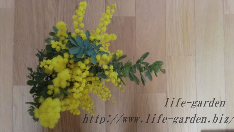 f:id:lif-g:20130120222359j:image:w360