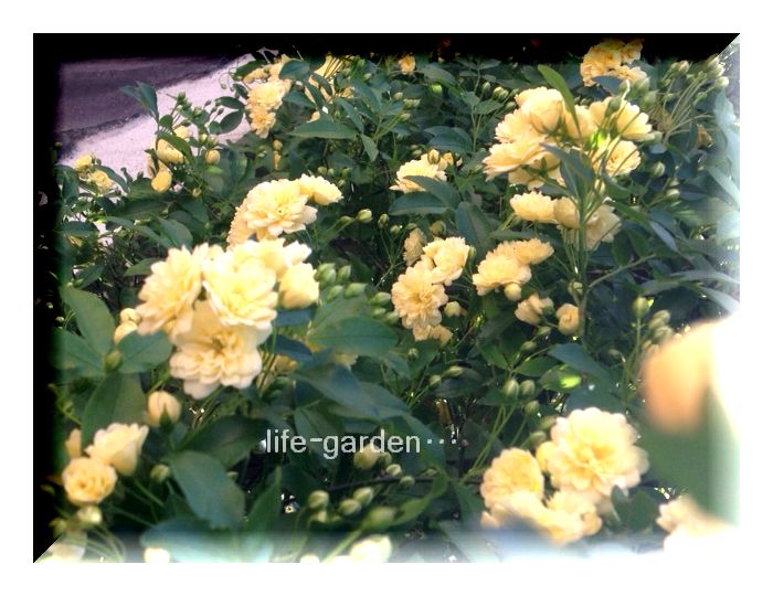 f:id:lif-g:20130410073713j:image:w360