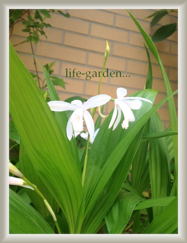 f:id:lif-g:20130504143343j:image:w360