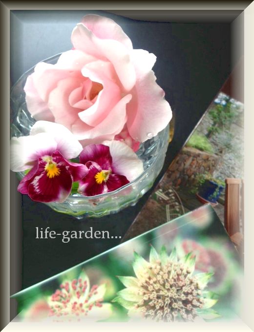 f:id:lif-g:20130506164923j:image:w360