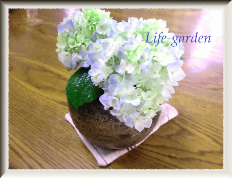 f:id:lif-g:20130528181110j:image:w360