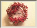 f:id:lif-g:20131215200530j:image:medium