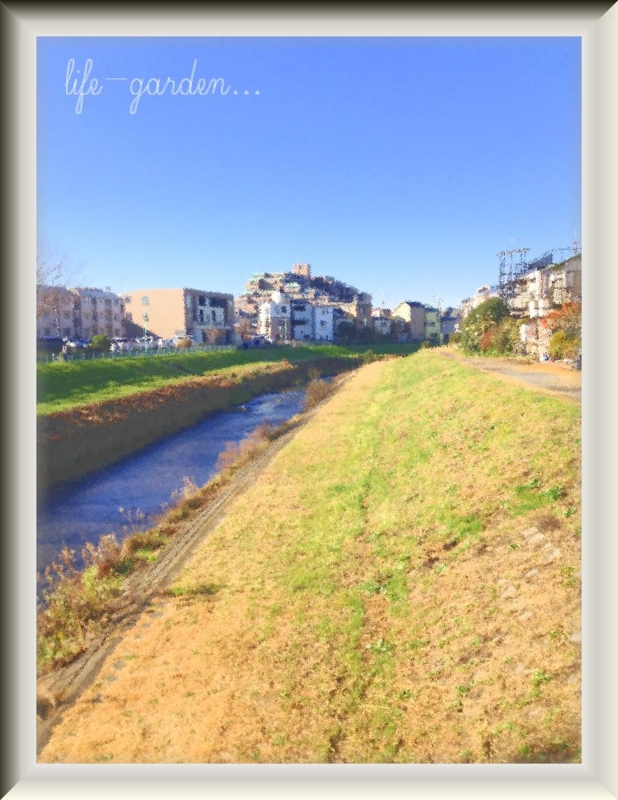 f:id:lif-g:20131222210828j:image:w360