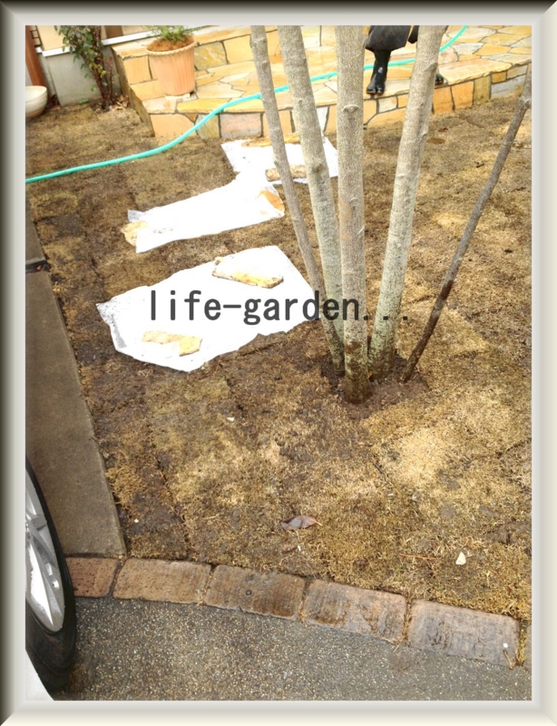 f:id:lif-g:20131222211314j:image:w360