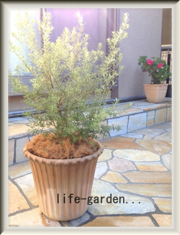 f:id:lif-g:20131222212047j:image:w360