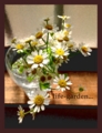 f:id:lif-g:20140115122127j:image:medium