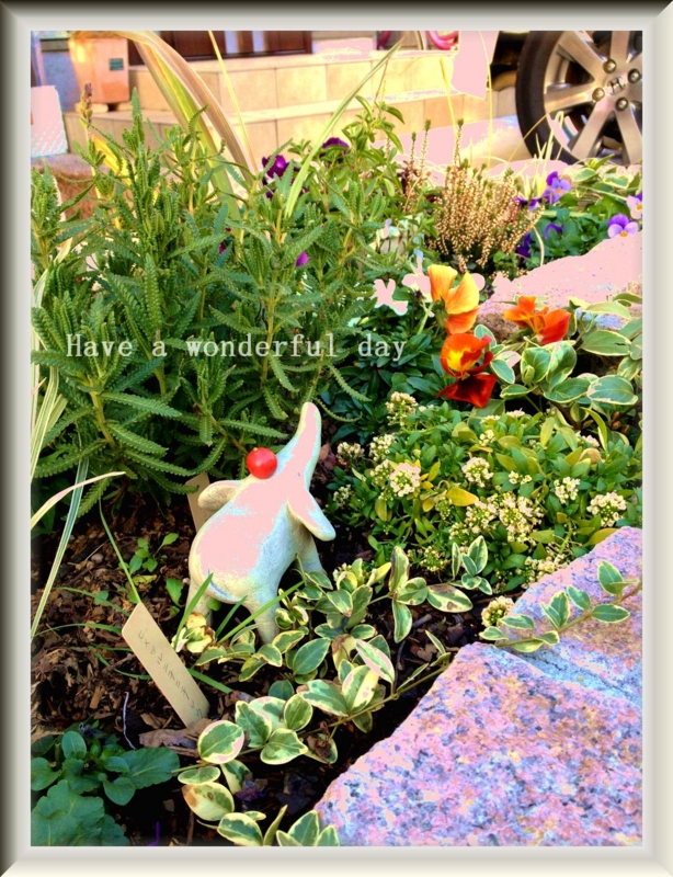 f:id:lif-g:20140205210635j:image:w360