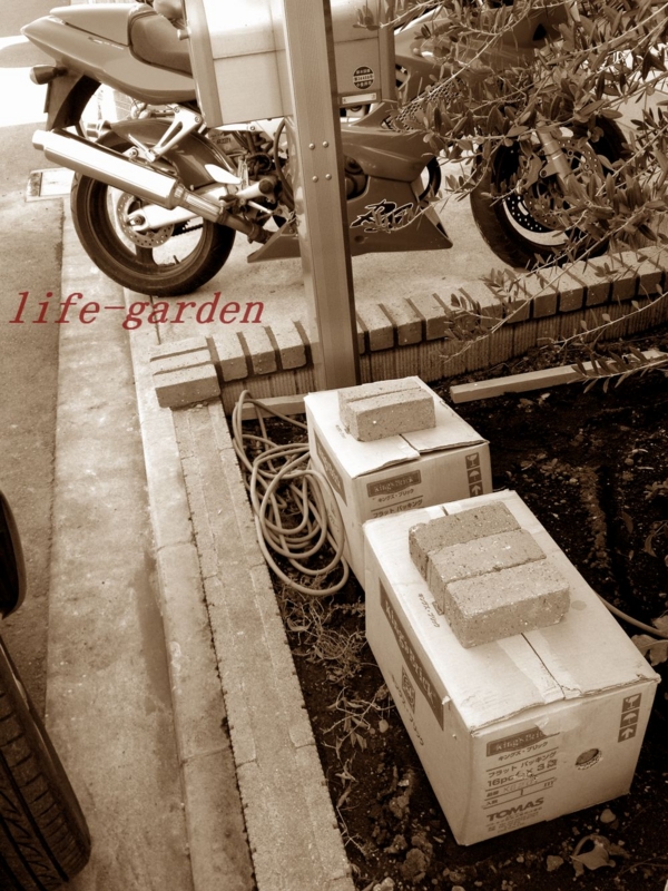 f:id:lif-g:20140324215959j:image:w360