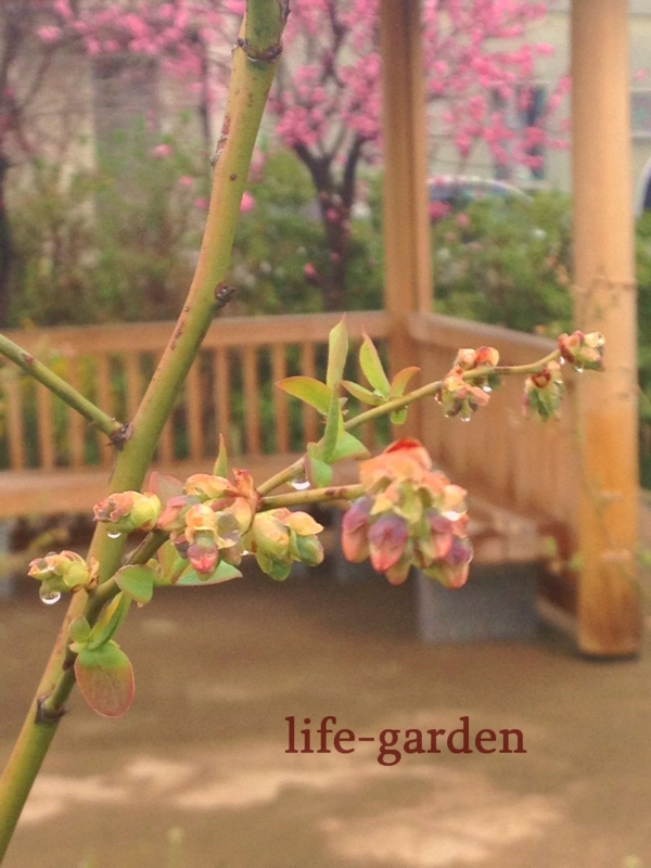 f:id:lif-g:20140404101732j:image:w360